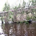 Река Велеса в тверской области на майские праздники